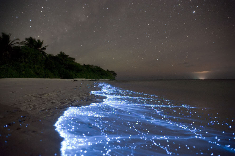 Swim in a galaxy beneath the waves – exclusive Cambodia Tours experience